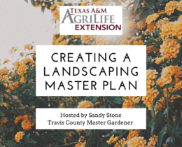 Creating a Landscaping Master Plan