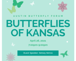 Butterflies of Kansas