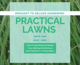 Drought To Deluge Gardening: Practical Lawns