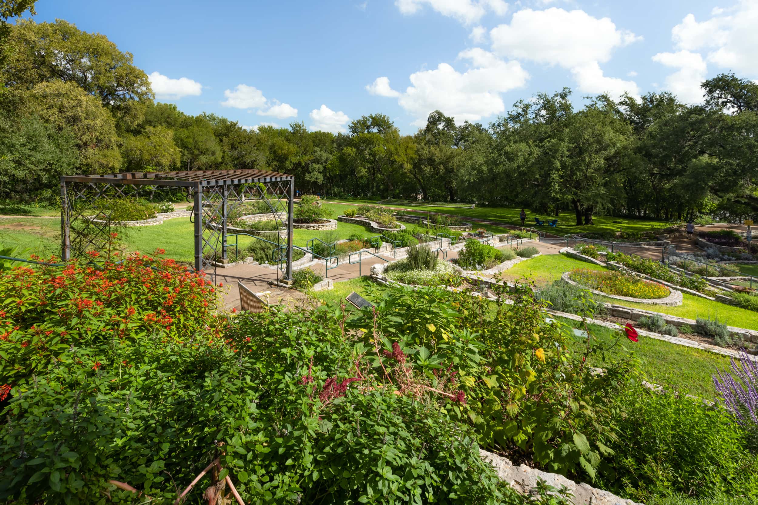 A Jewel in the Heart of Austin - Zilker Botanical Garden