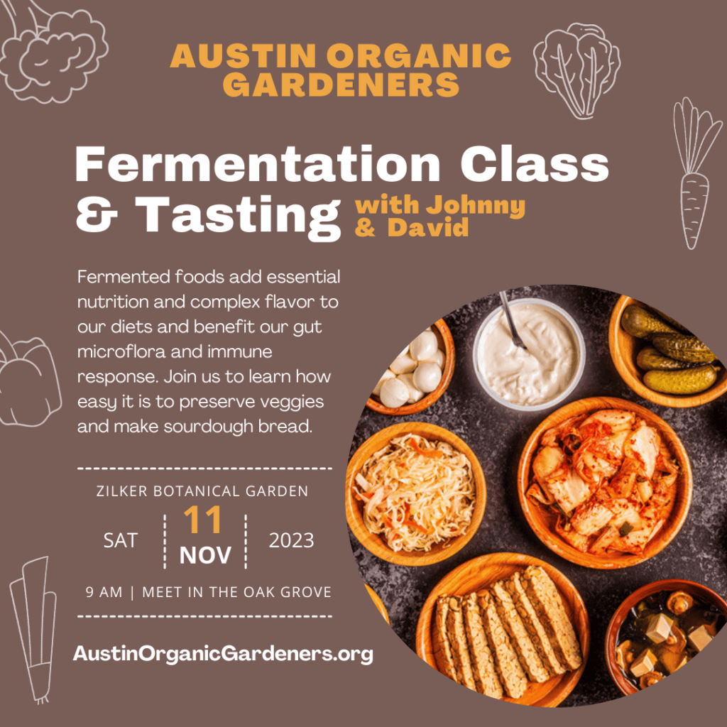 FERMENTATION BUCKET FOOD GRADE BUCKET BEER FERMENTATION WINE FERMENTATION  CIDER FERMENTATION FERMENTATION SUPPLY BEERMAKING WINEMAKING CIDERMAKING  ENOLOGY LABWARE KOMBUCHA CHEESEMAKING CHEESEMONGER WINE CHEMICALS REMCO  ZAMBELLI MARCHISIO BUON VINO