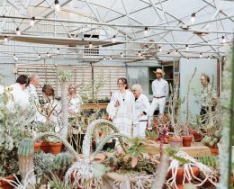 Diner en Blanc Attendees will be the first to preview the extraordinary new Cactus & Succulent Collection.  