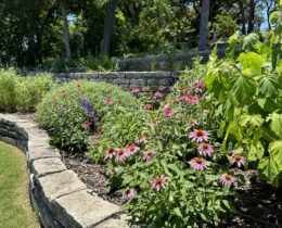 🌞 Beat the Heat: New Summer Hours at Zilker Botanical Garden!