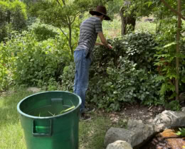 Meet the Garden’s Summer Intern