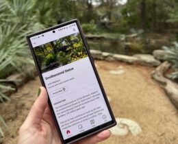 Zilker Botanical Garden Conservancy Launches New Digital Guide to Enrich Both Onsite and Offsite Visits